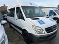 Mercedes-Benz Sprinter 313 CDI Sprinter*7-Sitze*2xKlima*Rampe* Weiß - thumbnail 5