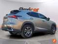 Lexus NX 300 300h Executive Navigation 4WD Gris - thumbnail 4
