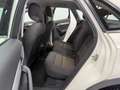 Audi Q3 Q3 2.0 TDI 177 CV quattro S tronic Advanced Beige - thumbnail 15
