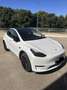 Tesla Model Y Performance AWD - thumbnail 5