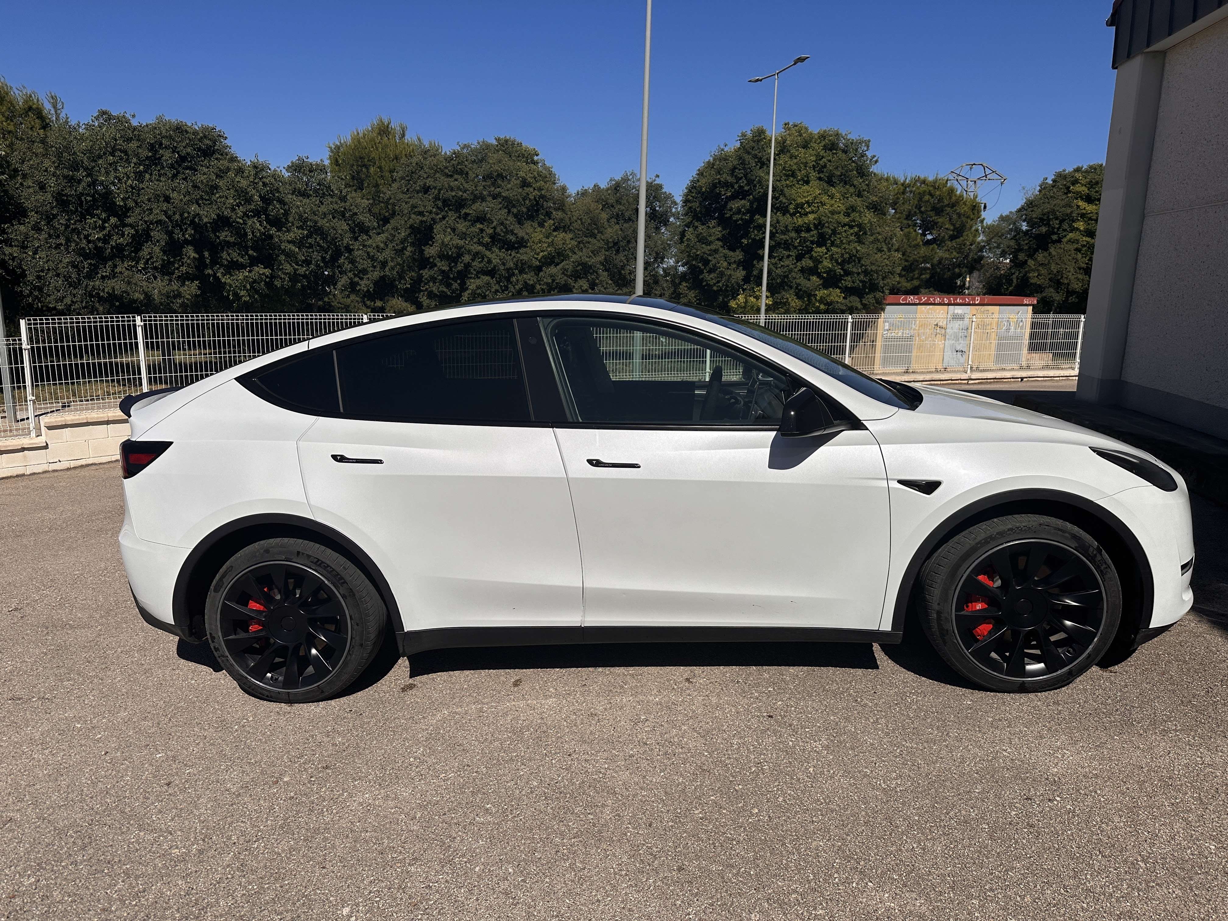Tesla Model Y Performance AWD - foto 1
