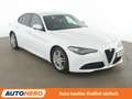 Alfa Romeo Giulia 2.2 JTDM Super*NAVI*XENON*TEMPO*CAM*PDC*SHZ*KLIMA Weiß - thumbnail 8