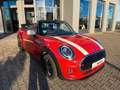 MINI Cooper Cabrio *Kundenauftrag Rot - thumbnail 3