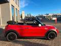 MINI Cooper Cabrio *Kundenauftrag Rot - thumbnail 4