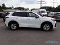 Volkswagen Tiguan 2.0 TDI DSG R-LINE AHK PANO HUD MATRIX Weiß - thumbnail 6