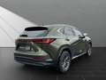 Lexus NX 350h 350h Executive Line Zielony - thumbnail 5