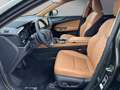 Lexus NX 350h 350h Executive Line Zielony - thumbnail 9