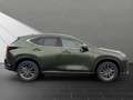 Lexus NX 350h 350h Executive Line Zielony - thumbnail 6