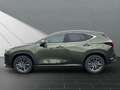 Lexus NX 350h 350h Executive Line Zielony - thumbnail 2