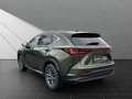 Lexus NX 350h 350h Executive Line Zielony - thumbnail 3