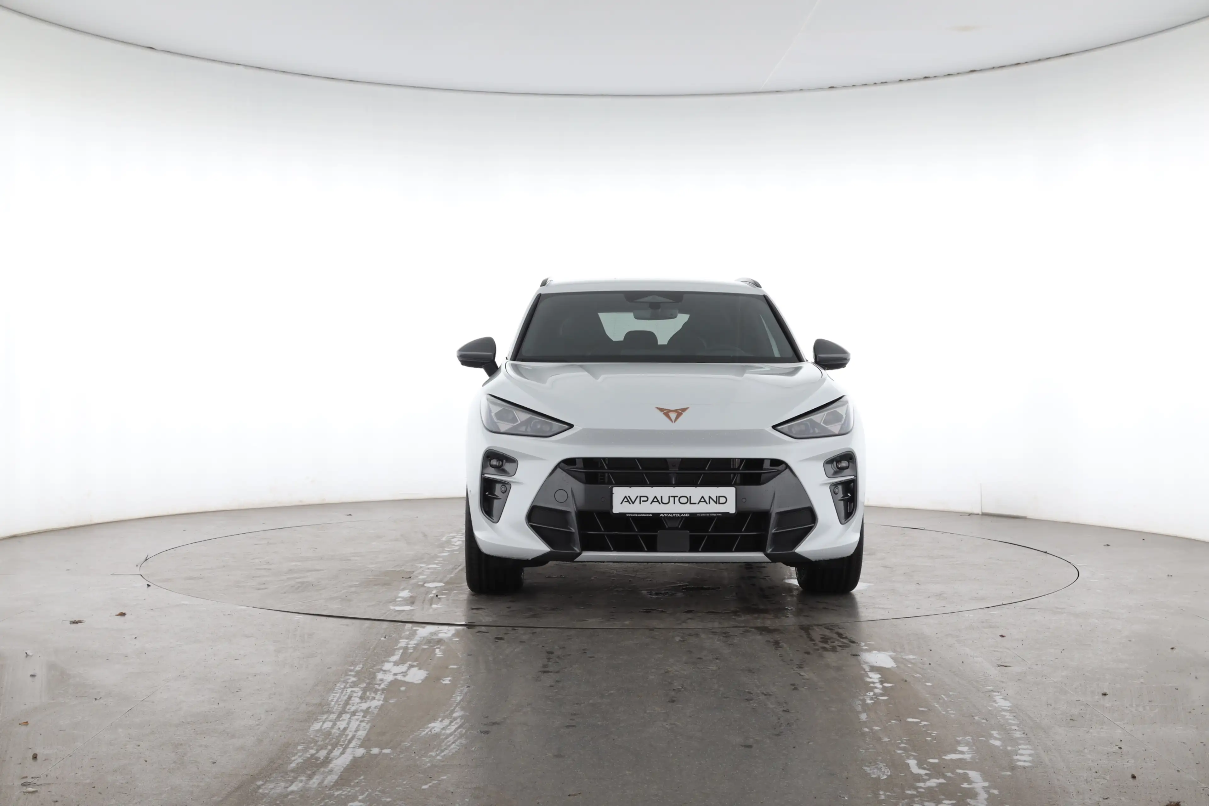 CUPRA Terramar 2.0 TSI DSG 4Drive | AHK | Business | — photo 6