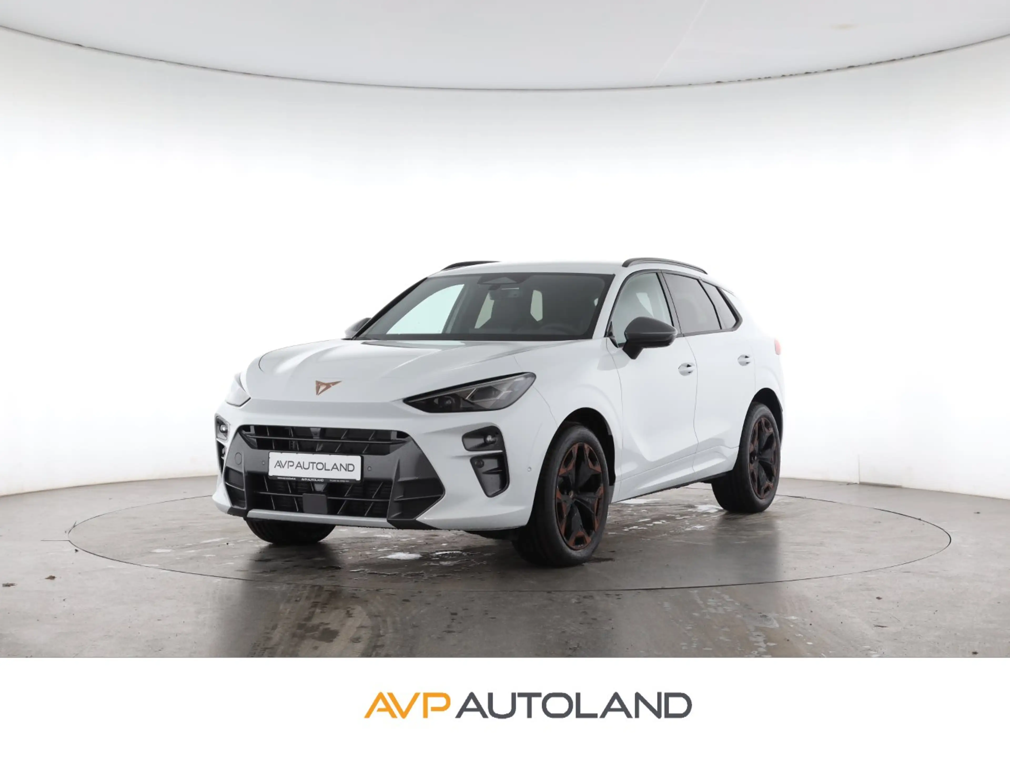 CUPRA Terramar 2.0 TSI DSG 4Drive | AHK | Business |