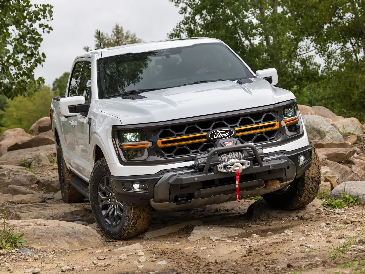 Ford F 150 2025 - TREMOR Edition Noir - 1