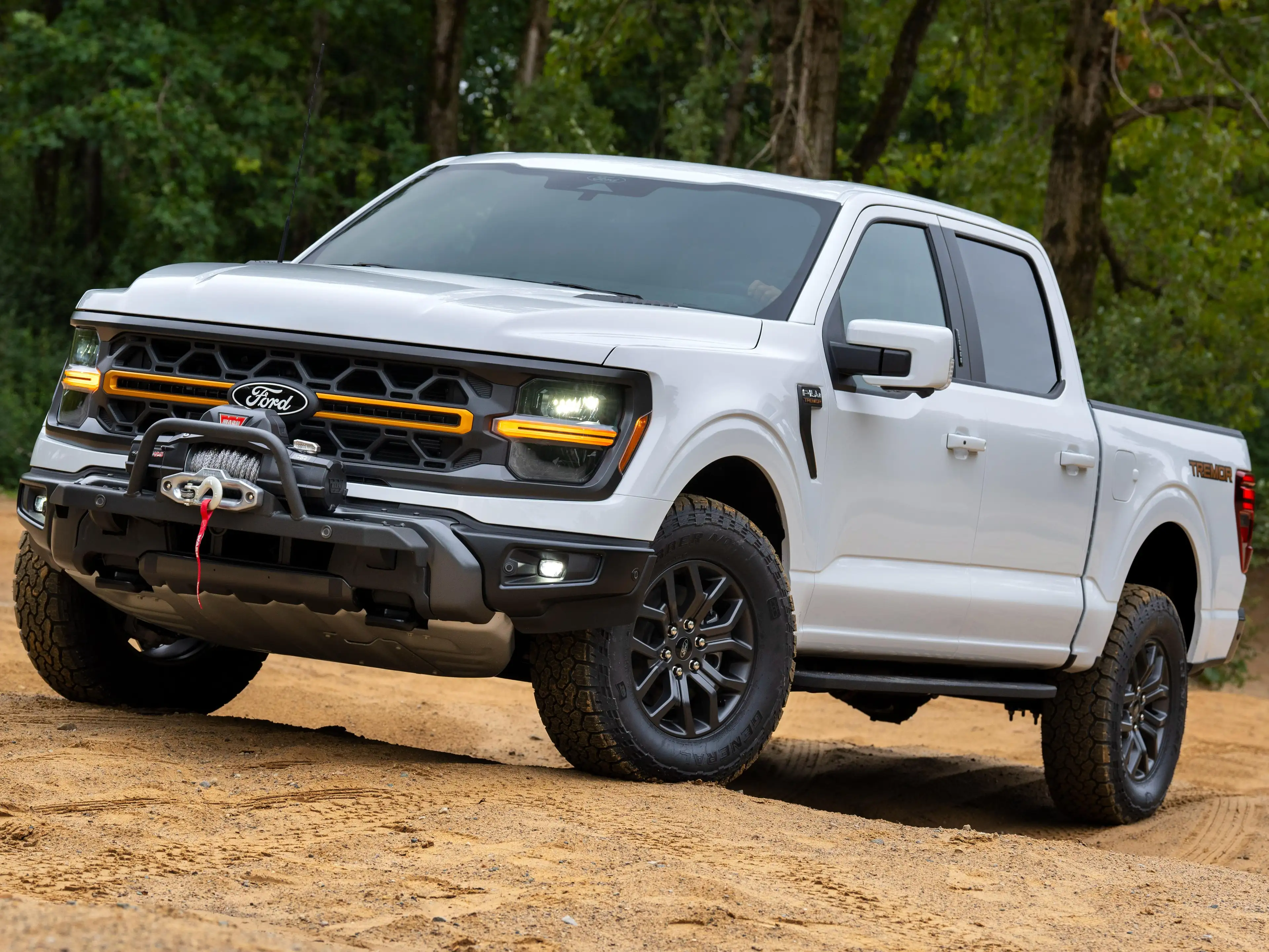 Ford F 150 2025 - TREMOR Edition — photo 5