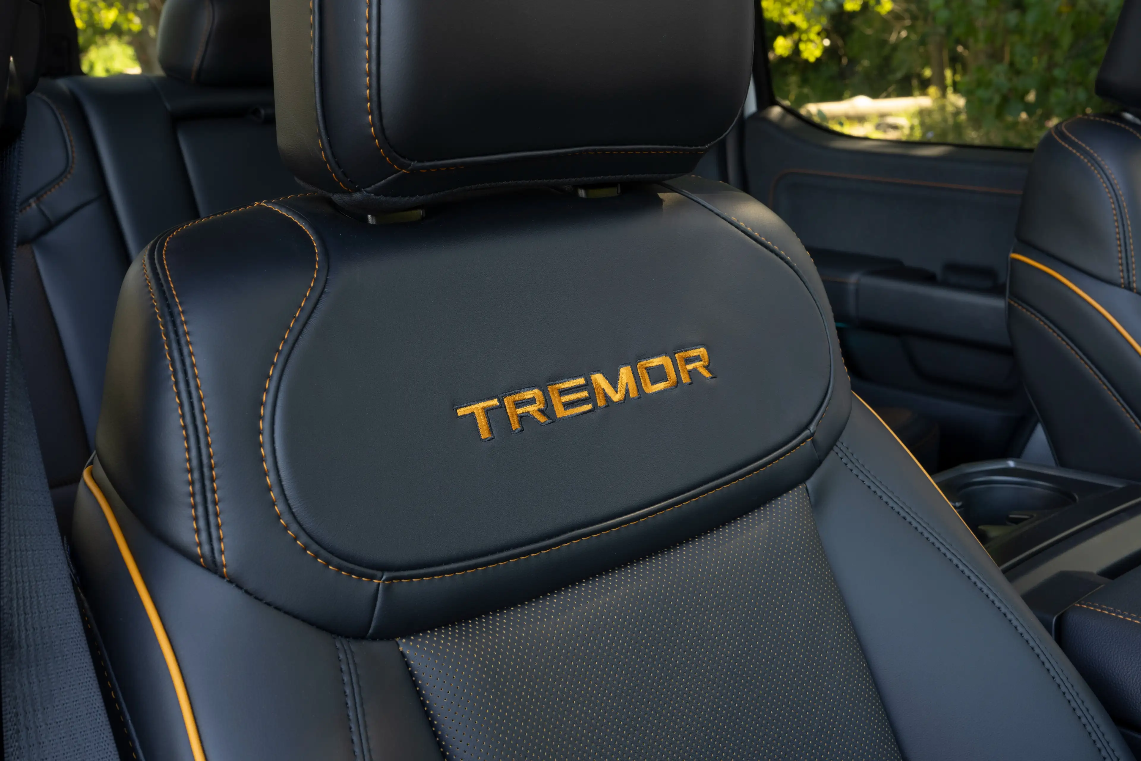 Ford F 150 2025 - TREMOR Edition — photo 10