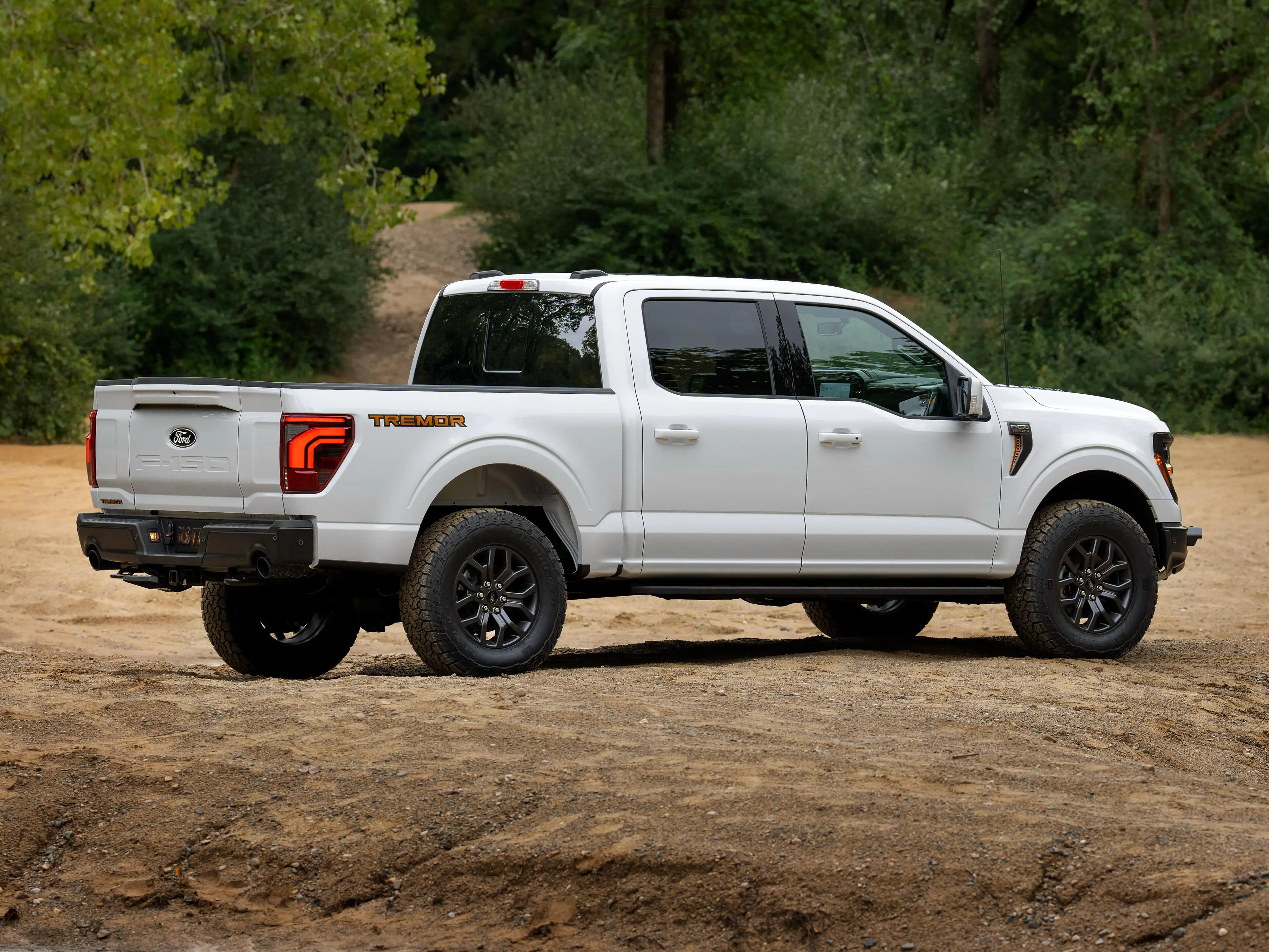 Ford F 150 2025 - TREMOR Edition — photo 6