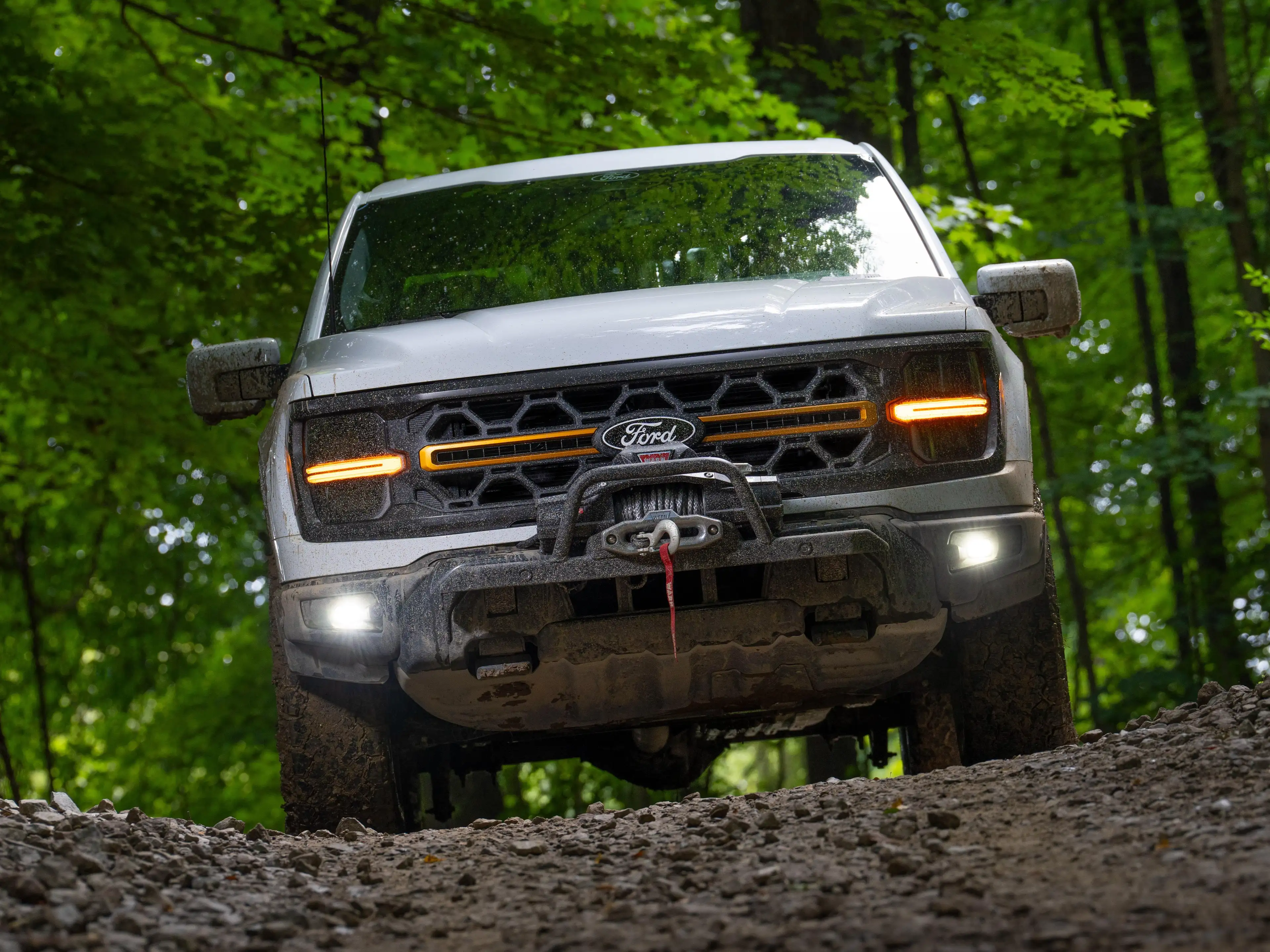 Ford F 150 2025 - TREMOR Edition — photo 8