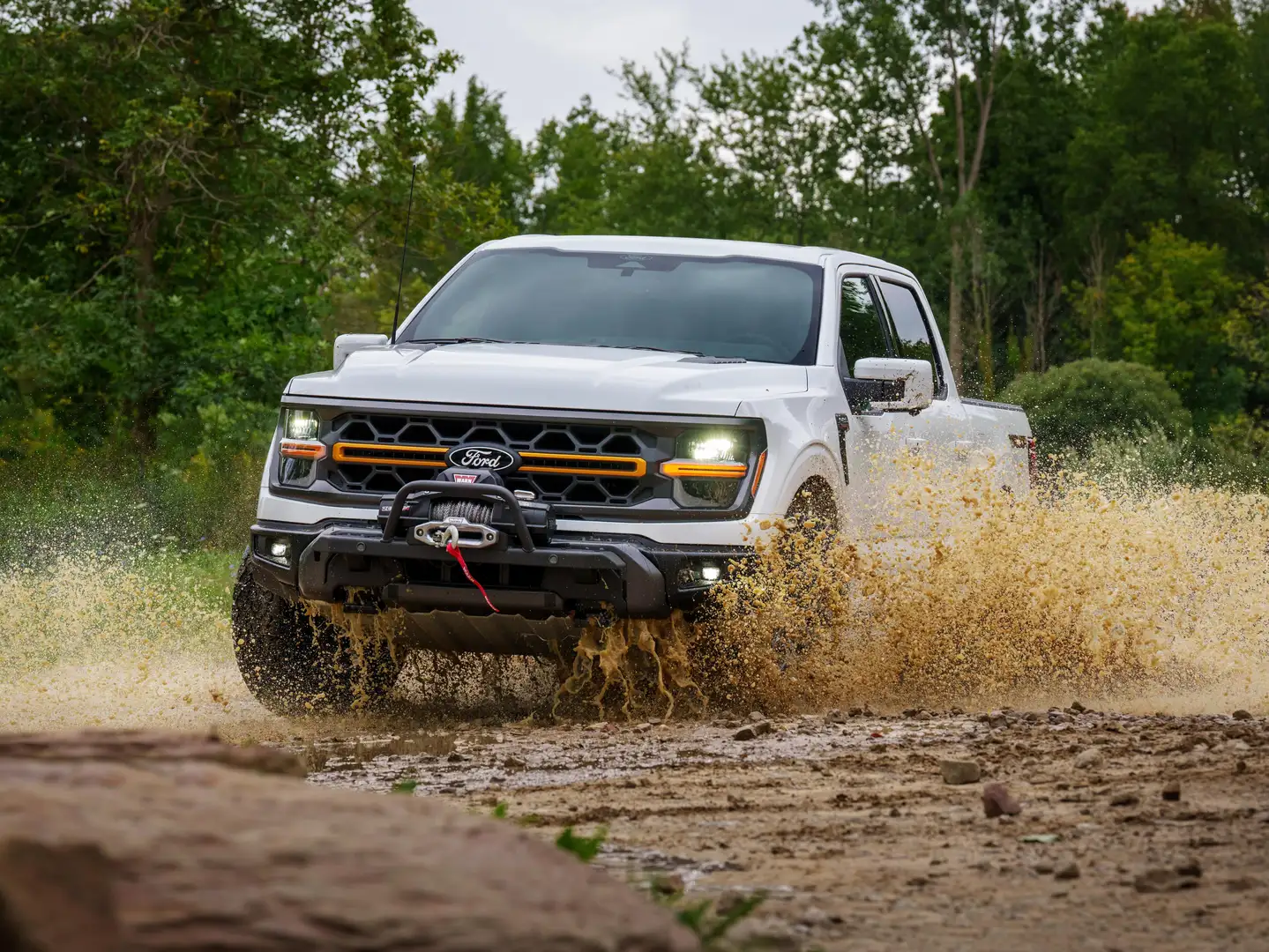 Ford F 150 2025 - TREMOR Edition Noir - 2