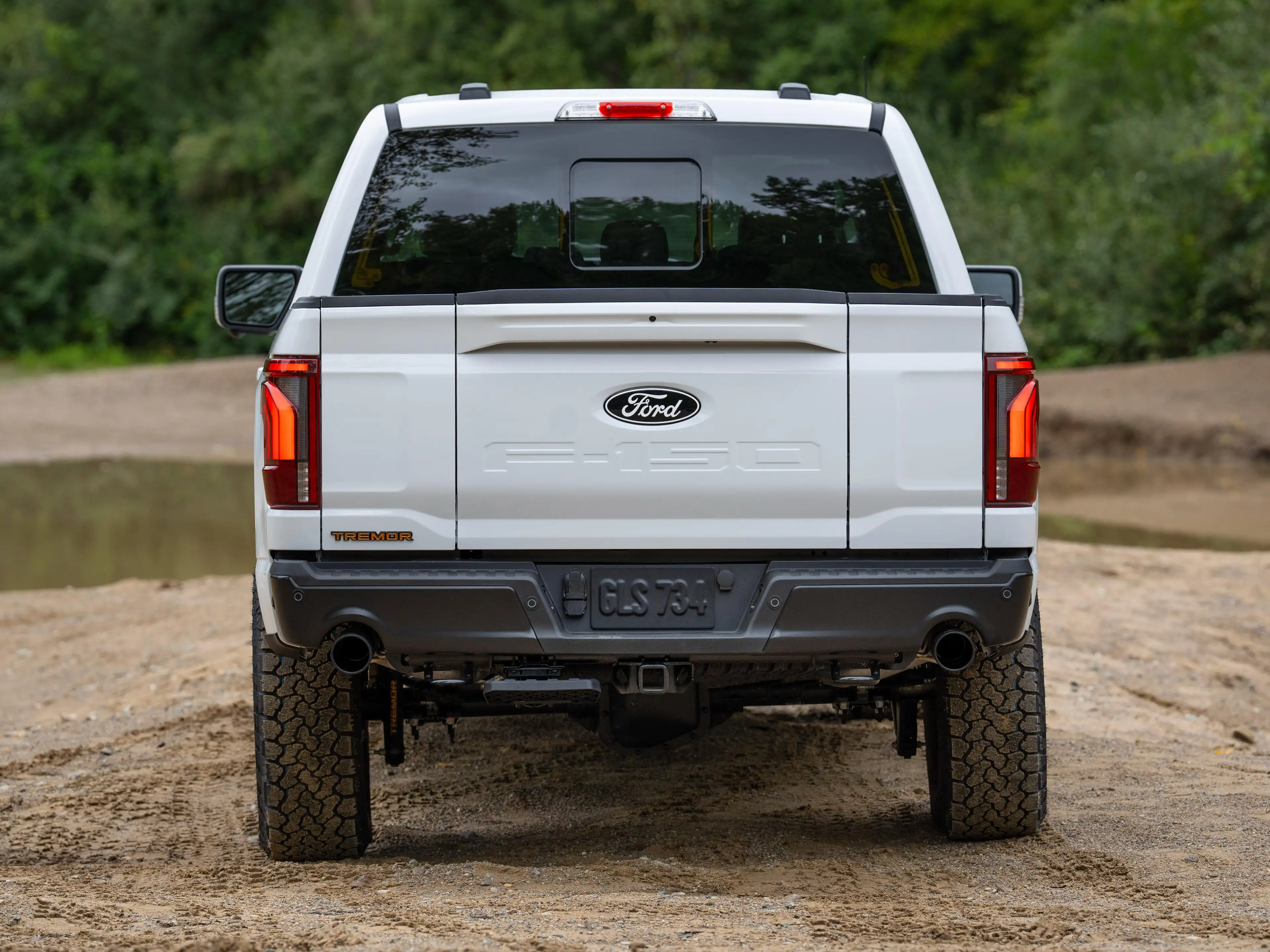 Ford F 150 2025 - TREMOR Edition — photo 7
