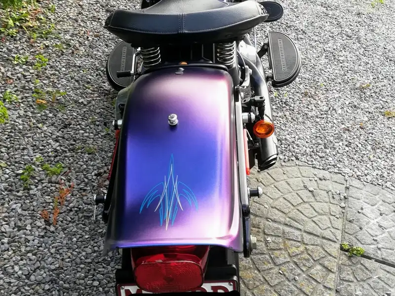 Harley-Davidson cross bones 2010 - foto 4