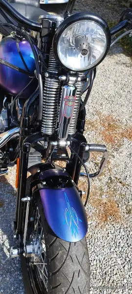 Harley-Davidson cross bones 2010 - foto 2