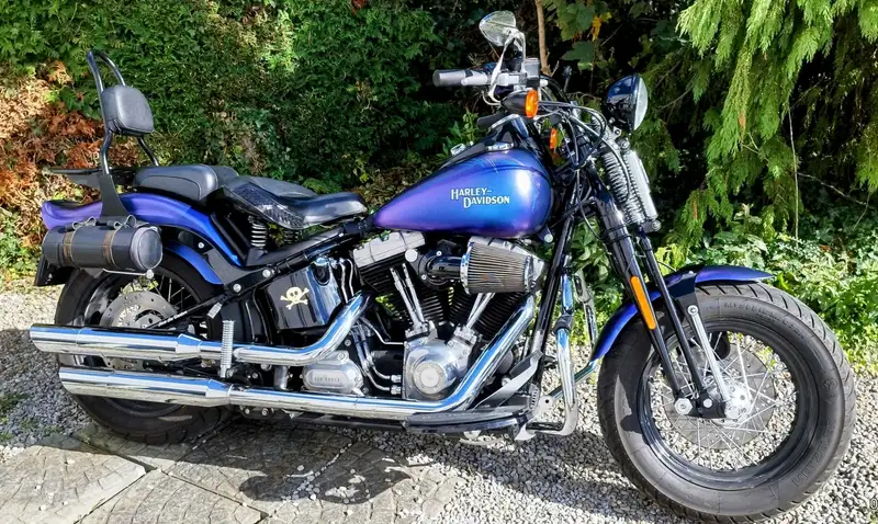 Harley-Davidson cross bones 2010 - foto 8