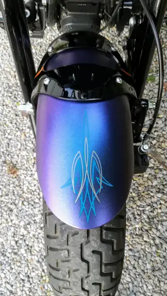 Harley-Davidson cross bones 2010 - foto 6