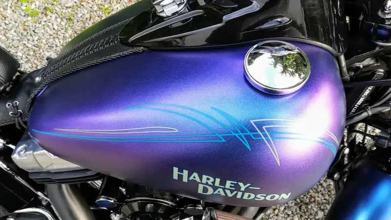 Harley-Davidson cross bones 2010 - foto 5