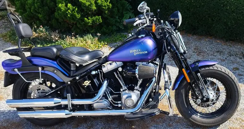 Harley-Davidson cross bones 2010 - foto 7