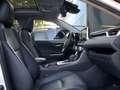 Toyota RAV 4 2.5 hybrid 4WD Luxury Blanco - thumbnail 20