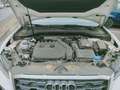 Audi Q2 Q2 I 2021 35 1.5 tfsi Business Weiß - thumbnail 16