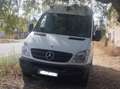 Mercedes-Benz Sprinter Sprinter Mixto 311CDI Largo T.E. Blanco - thumbnail 1