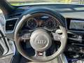 Audi Q5 2.0 TDI 150 CV clean diesel quattro S-LINE TETTO Blanco - thumbnail 17