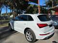 Audi Q5 2.0 TDI 150 CV clean diesel quattro S-LINE TETTO Blanco - thumbnail 8