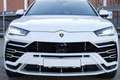 Lamborghini Urus 4.0 V8 Aut. Blanco - thumbnail 6