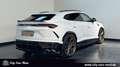 Lamborghini Urus 24 ZOLL-AKRAPOVIC-B&O-360° Белый - thumbnail 5