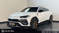 Lamborghini Urus 24 ZOLL-AKRAPOVIC-B&O-360° Белый - thumbnail 1