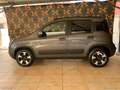 Fiat Panda Cross 1.0 FireFly S&S Hybrid Grau - thumbnail 5