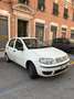 Fiat Punto 5p 1.2 Classic - thumbnail 1