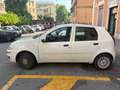 Fiat Punto 5p 1.2 Classic - thumbnail 3