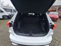 Ford Kuga PHEV ST-Line X Winter & Technologiepaket Weiß - thumbnail 11