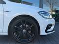 Volkswagen Golf VII Variant 1.6 DSG Facelift/R-Line/Virtual Weiß - thumbnail 9