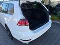 Volkswagen Golf VII Variant 1.6 DSG Facelift/R-Line/Virtual Weiß - thumbnail 15