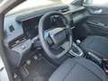 Ford Puma Titanium AKTIONSMODELL Weiß - thumbnail 12
