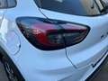 Ford Puma Titanium AKTIONSMODELL Weiß - thumbnail 11