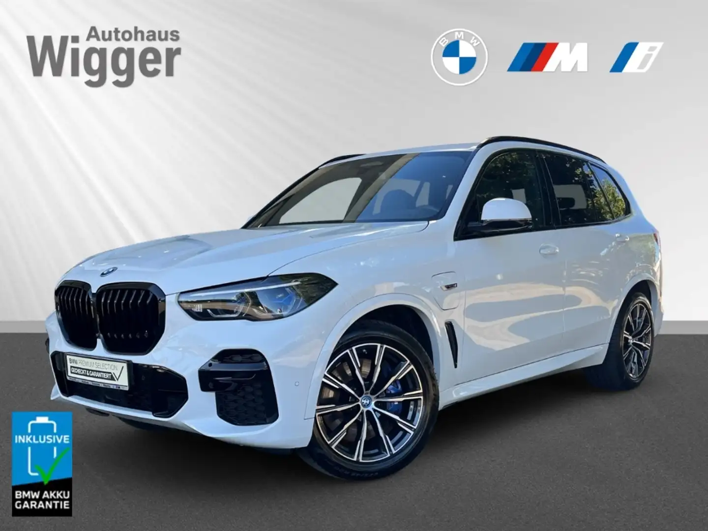 BMW X5 45e M Sport/HUD/AHK/Panoramadach/Navi/Leder Weiß - 1