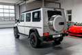 Mercedes-Benz G 350 BlueTec Edition 35 AHK PANO DESIGNO Blanco - thumbnail 11