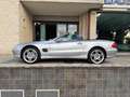 Mercedes-Benz SL 500 cat Argento - thumbnail 15