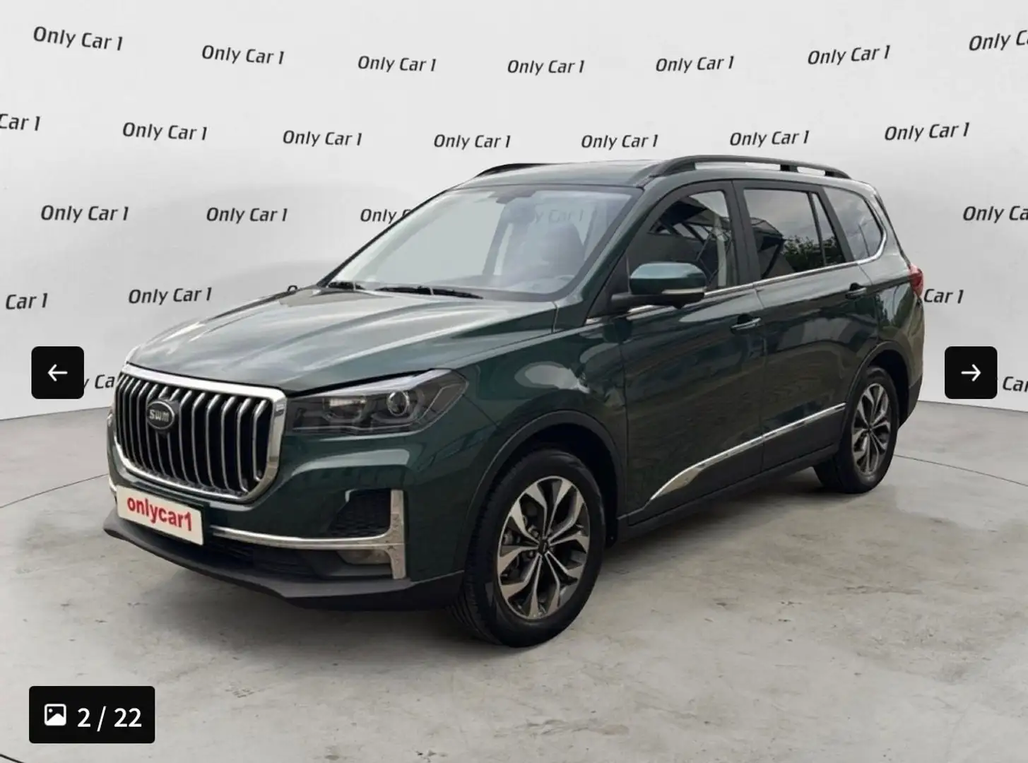 SWM Sonstige 1.5 GPL Grün - 2