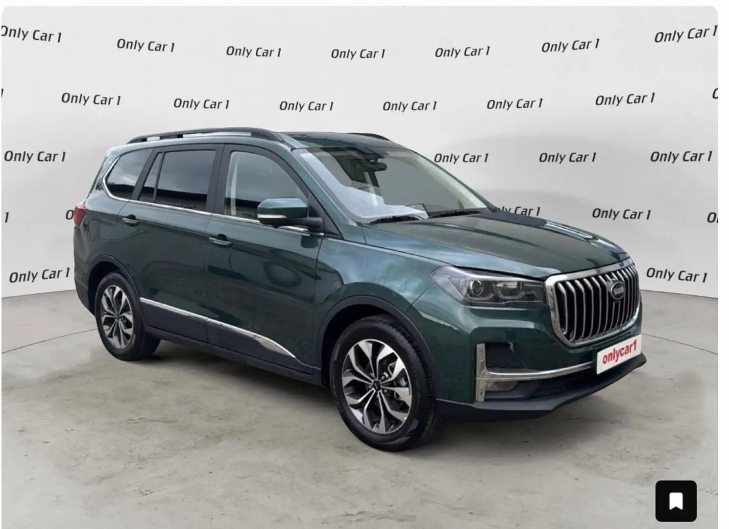 SWM Sonstige 1.5 GPL Grün - 1
